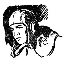 Генрих Гофман - Самолет подбит над целью