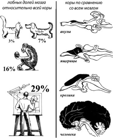 Константин Платонов - Занимательная психология