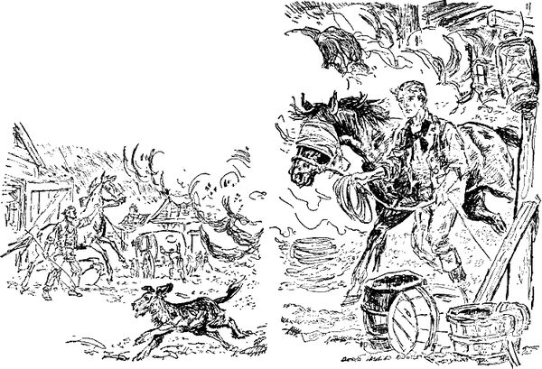 Анна Сьюэлл - Черный Красавчик (с иллюстрациями)