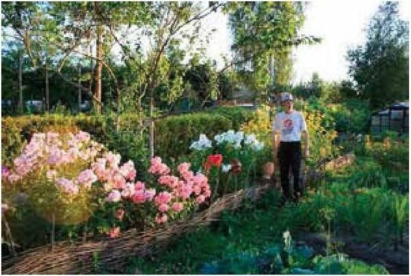 Алексей Казарин - Рабочий календарь дачника, или Рабочие будни на даче