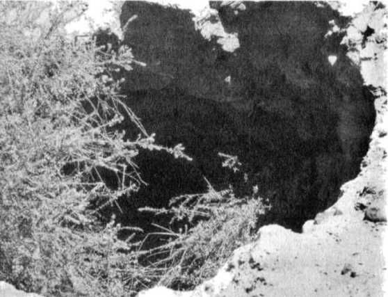 Эрих Фон Дэникен - Загадочные рисунки Наска