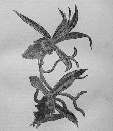 Илья Мечников - Этюды о природе человека