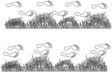 Дмитрий Верищагин - Искусство. Система навыков Дальнейшего...