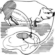Константин Платонов - Занимательная психология