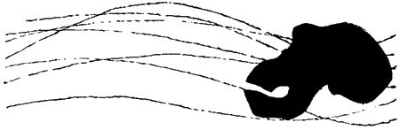 Занимательная биология