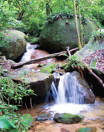 Мария Сигалова, Екатерина Печенихина - Бразилия