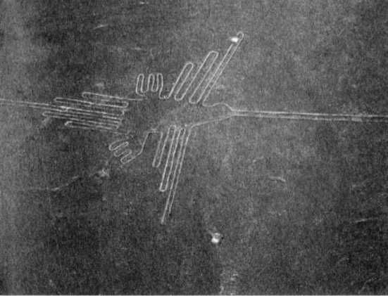 Эрих Фон Дэникен - Загадочные рисунки Наска