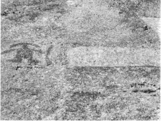 Эрих Фон Дэникен - Загадочные рисунки Наска