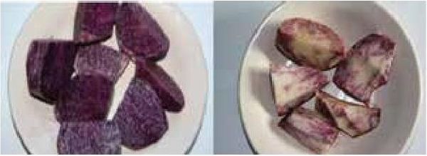 Алексей Казарин - Рабочий календарь дачника, или Рабочие будни на даче