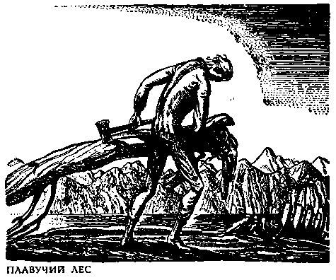 Рокуэлл Кент - В диком краю