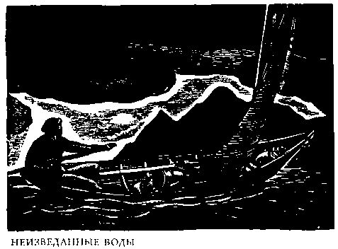 Рокуэлл Кент - В диком краю