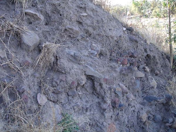 Андрей Скляров - Обитаемый остров Земля