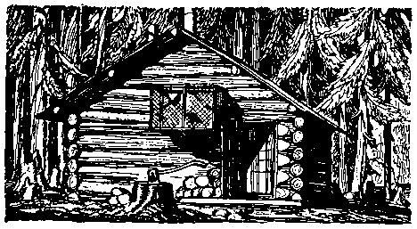 Рокуэлл Кент - В диком краю