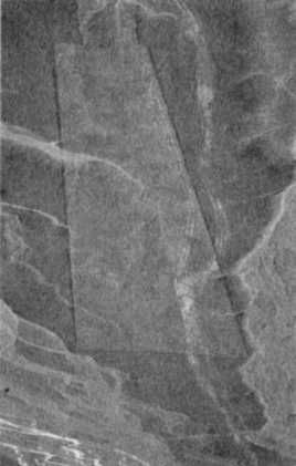 Эрих Фон Дэникен - Загадочные рисунки Наска