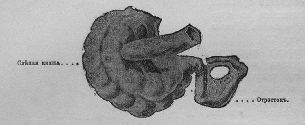 Илья Мечников - Этюды о природе человека