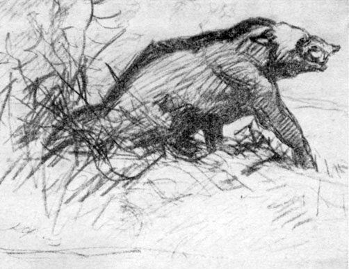 Анатолий Рождественский - На поиски динозавров в Гоби