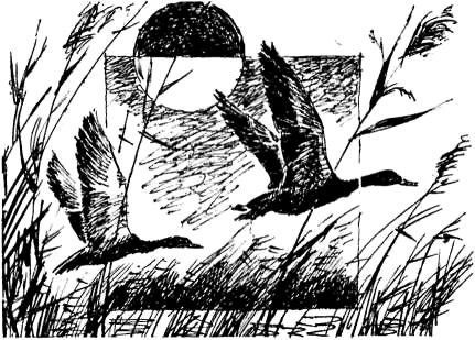 Юрий Нагибин - Поездка на острова. Повести и рассказы