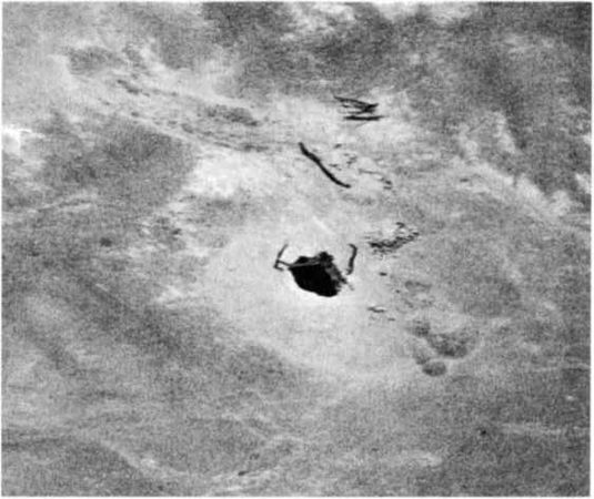 Эрих Фон Дэникен - Загадочные рисунки Наска