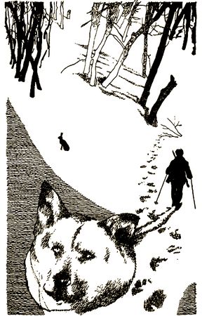 Анатолий Севастьянов - Мой знакомый медведь