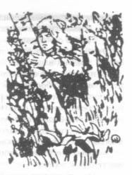 Георгий Ланин - Красная маска