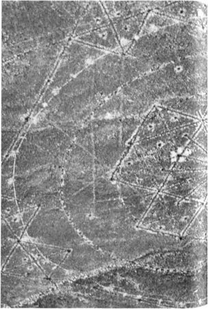 Эрих Фон Дэникен - Загадочные рисунки Наска