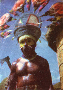 Петр Якеш - К вулканам Тихого океана