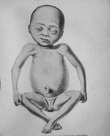 Илья Мечников - Этюды о природе человека