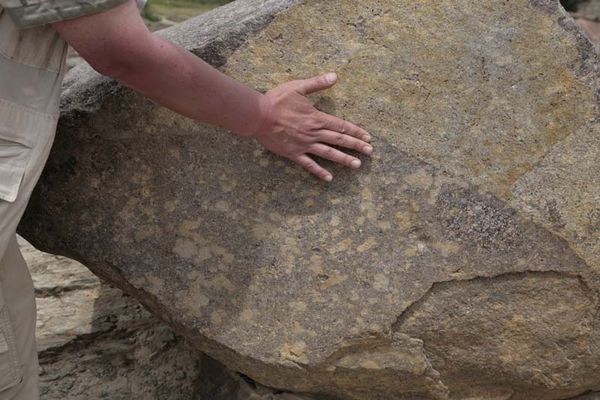 Андрей Скляров - Обитаемый остров Земля