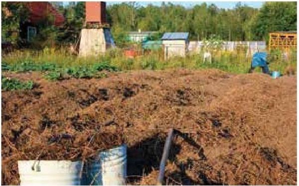 Алексей Казарин - Рабочий календарь дачника, или Рабочие будни на даче