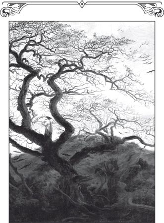 Фридрих Ницше - Шопенгауэр как воспитатель