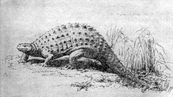 Анатолий Рождественский - На поиски динозавров в Гоби