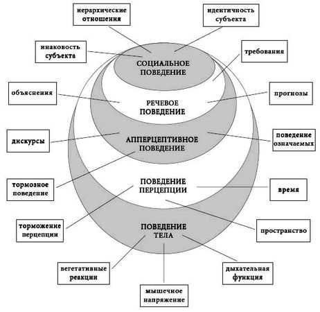 Андрей Курпатов, Анатолий Алёхин - Развитие личности. Психология и психотерапия