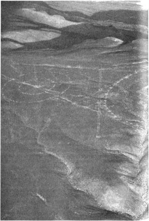 Эрих Фон Дэникен - Загадочные рисунки Наска