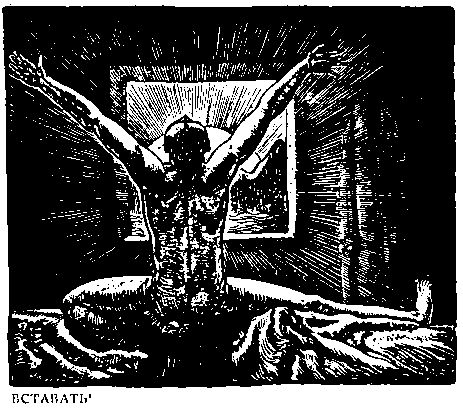 Рокуэлл Кент - В диком краю