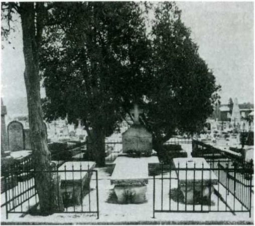 Элина Драйтова - Повседневная жизнь Дюма и его героев