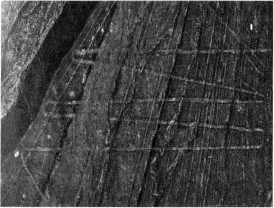 Эрих Фон Дэникен - Загадочные рисунки Наска