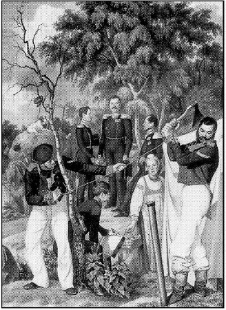 Козьма Прутков - Смотри в корень!