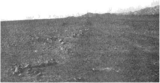 Эрих Фон Дэникен - Загадочные рисунки Наска