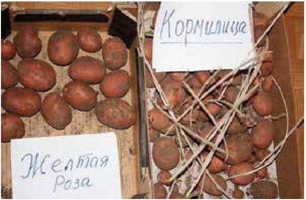 Алексей Казарин - Рабочий календарь дачника, или Рабочие будни на даче