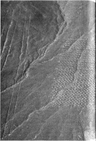 Эрих Фон Дэникен - Загадочные рисунки Наска