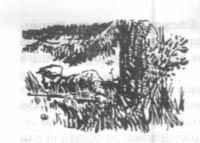 Красная маска