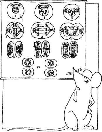 Игорь Акимушкин - Занимательная биология
