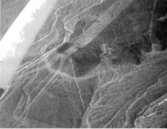 Эрих Фон Дэникен - Загадочные рисунки Наска