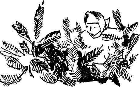 Алексей Румянцев - Я видел Сусанина