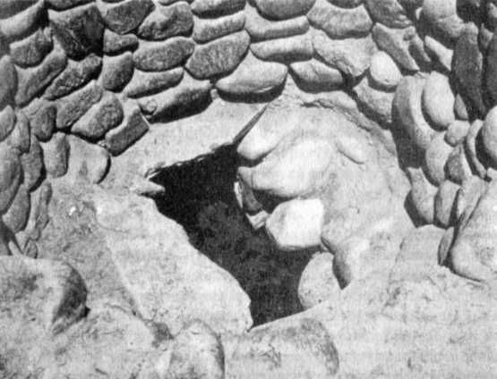 Эрих Фон Дэникен - Загадочные рисунки Наска