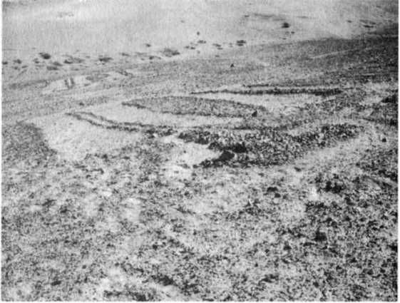 Эрих Фон Дэникен - Загадочные рисунки Наска