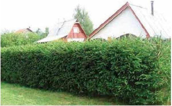 Алексей Казарин - Рабочий календарь дачника, или Рабочие будни на даче