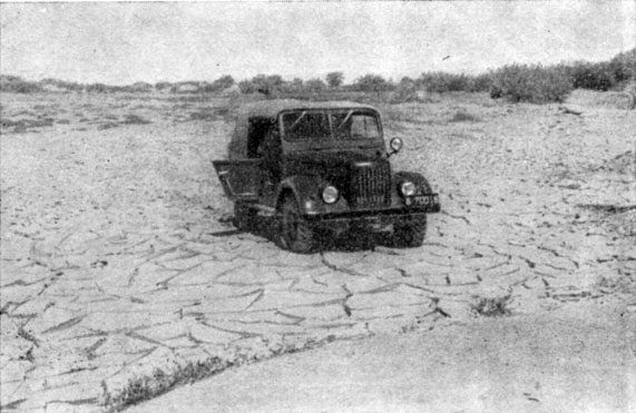Анатолий Рождественский - На поиски динозавров в Гоби