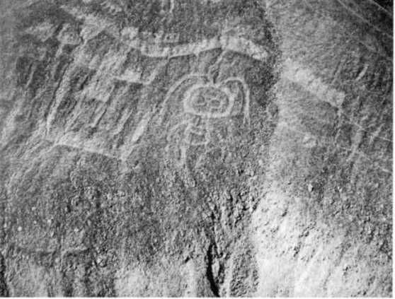 Эрих Фон Дэникен - Загадочные рисунки Наска