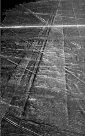 Эрих Фон Дэникен - Загадочные рисунки Наска